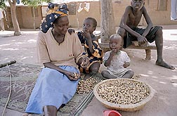 Photo: Gambian woman shells peanuts as she sits with three young children. Link to photo information
