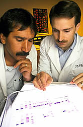 Physiologists examine purification results on calpastatin. Click here for full photo caption.