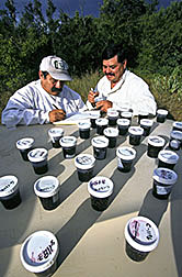 Technician Jesus Maldonado (left) and chemist Raul Rivera record ID's on bee samples collected from colonies.