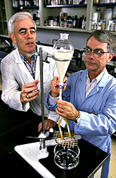 ARS chemists Don Daigle (left) and Bill Connick with alginate gel beads