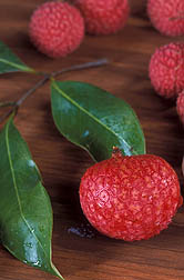 Photo: Lychee. Link to photo information