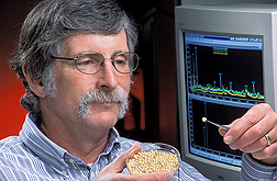 Photo: ARS physiologist Jeffrey Suttle inspects potato microtubers. Link to photo information