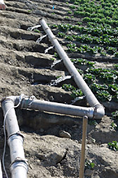 Photo: A fertigation system used on romaine lettuce in Coachella Valley, California. Link to photo information