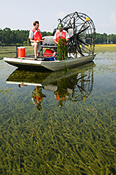 Two men aboard an airboat collect hydrilla from Lake Seminole. Link to photo information