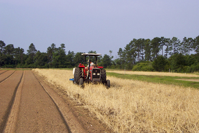 A tractor practices strip tillage leaving rye residue