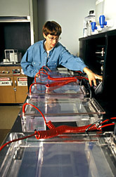 Technician Barbara Brandon runs DNA tests. 