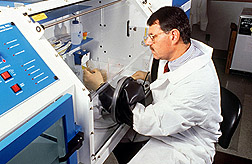 Microbiologist Arthur Miller evaluates the inhibiting effects of extracts on the growth of bacteria.