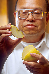 Chemist Dominic W.S. Wong holds freshly sliced apple. Link to photo information