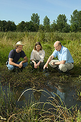 Dave Goracke, Kathryn Boyer and Jeffrey Steiner look at native wetland plants established in a seasonal drainage. Link to photo information