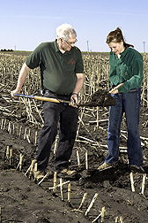Photo: ARS soil scientist Doug Karlen and technician Tanya Ferguson examine soil samples in a field of cornstalk residues. Link to photo information