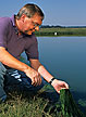 Algae being sampled by an ARS researcher