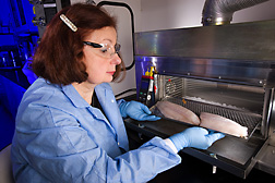 Photo: ARS food microbiologist Kathleen Rajkowski places catfish fillets into a UV treatment device. Link to photo information