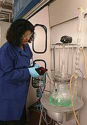 Photo: Scientist making a biodegradable lubricant from plants. Link to photo information