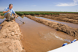 Photo: Researcher taking water measurements in an irrigation canal. Link to photo information
