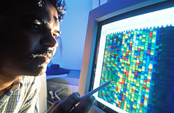 Molecular biologist views DNA sequence of a gene. 