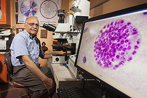 Jitender Dubey examines a Toxoplasma gondii specimen with a compound microscope.