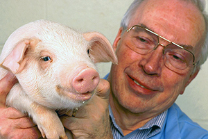 Lawrence Johnson holding a piglet