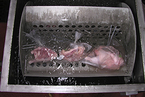 Simulated immersion chilling using a technique of individually bagging broiler carcasses.