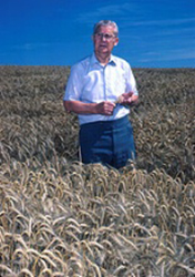 Orville Vogel in a wheat field