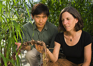 George Chuck and Sarah Hake holding a root-covered stem that has been propagated in a pot 