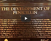 penicillin
