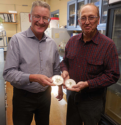 Neal Price and Gary Kuzniar hold culture plates of Penicillium rubens