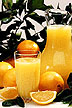 Oranges and pitcher of orange juice