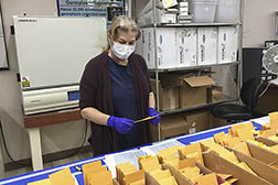 Technician Brenda Lawrence organizes packages of rice seed in the lab 