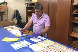 Luis Coral puts rice seed of the heirloom variety Carolina Gold Select into planter cells