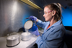 An ARS technician pours liquid nitrogen as she prepares to cryopreserve plant shoot tips