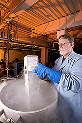 An ARS technician checks microbial isolates in a liquid nitrogen tank