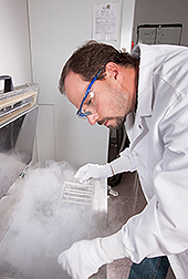 An ARS technician prepares to freeze germplasm samples 