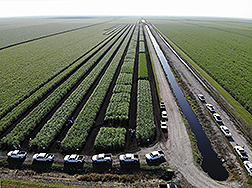 Aerial view of USDA-ARS Sugarcane Field Station