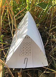 A sentinel card in the field, inside a cardstock triangle