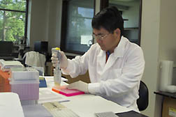 David Fang sitting at a table conducting DNA marker analysis.