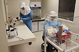 Two Foreign Arthropod-Borne Animal Diseases Research Unit workers in a lab.