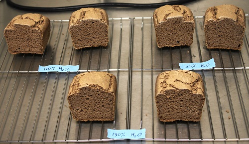 Six loaves of sorghum bread on a cooling rack.