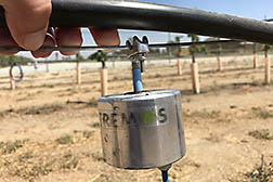 A Custom made, prototype vibration emitter is placed on a trellis during field trials.