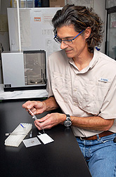 Scientist using a red imported fire ant test kit