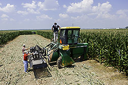 Three people preparing tractor-mounted sprayer equipment in a cornfield