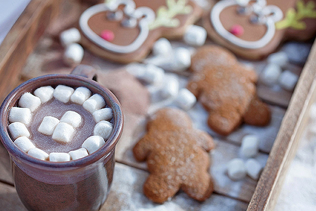 A cup of hot chocolate and gingerbread cookies.