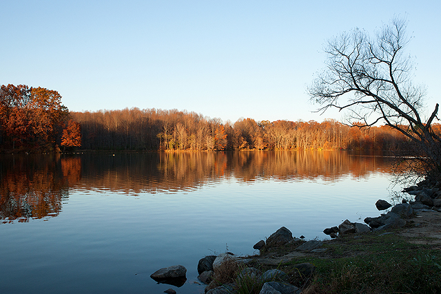 trees around a lake with fall foliage