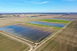 Aerial view of flooded fields after a corn harvest