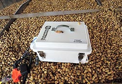 A moisture-monitoring system for use in peanut-drying trailers