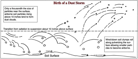 Diagram of birth of a dust storm.