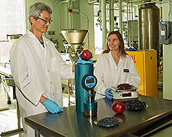 A chemist fills an isochoric chamber with whole pomegranates while a food technologist weighs pomegranate arils