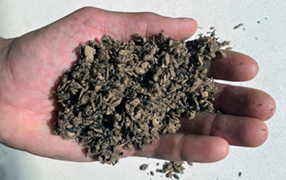 A hand holding solid waste fiber.