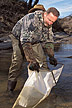 Two biologists collect macroinvertebrates in a Mississippi creek.