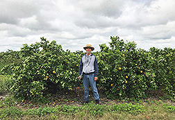 A scientist standing in front of two orange trees.