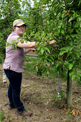 Rebecca Schmidt-Jeffris in an orchard